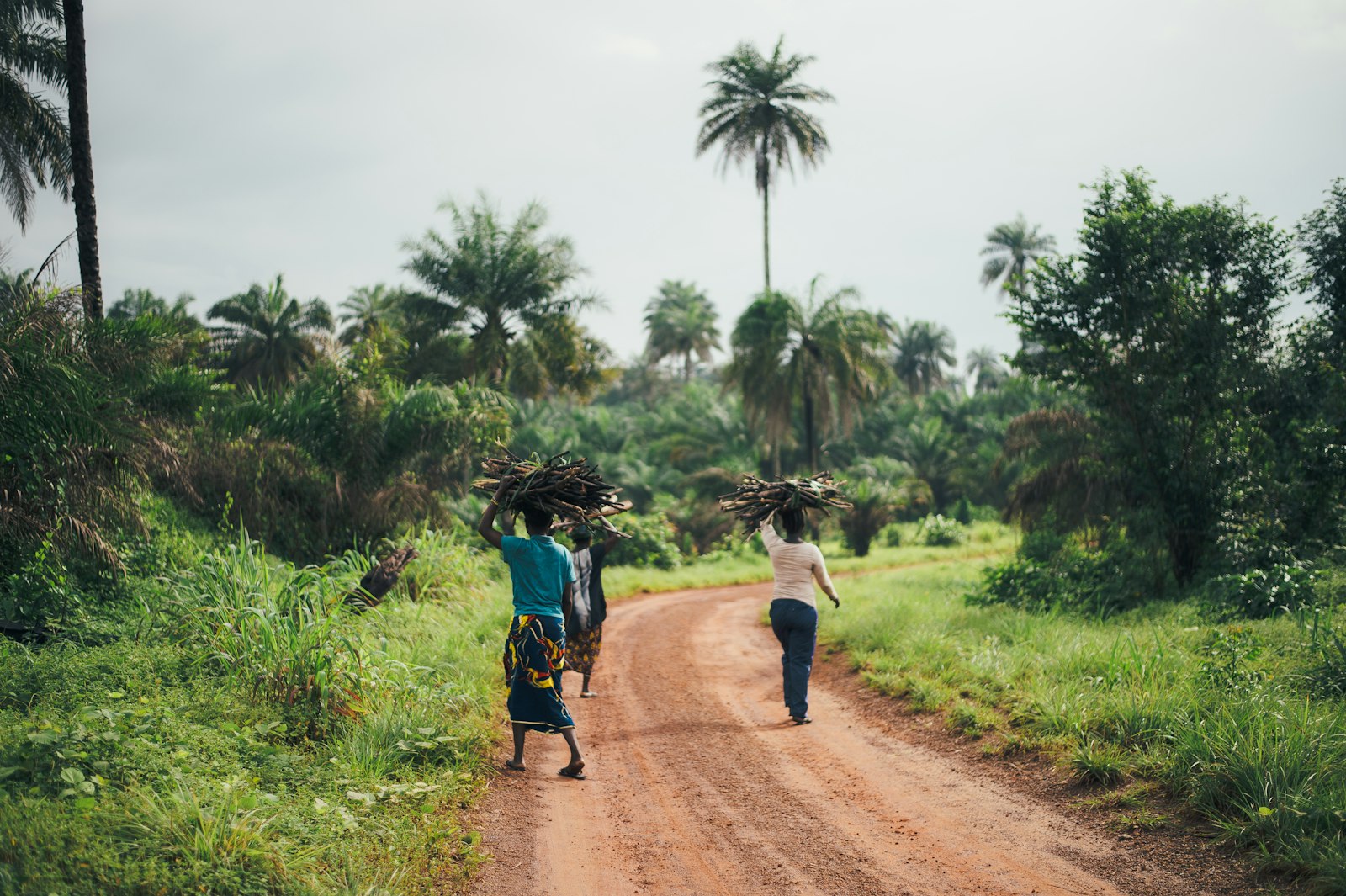 Tanzania agriculture and crop production landscape
